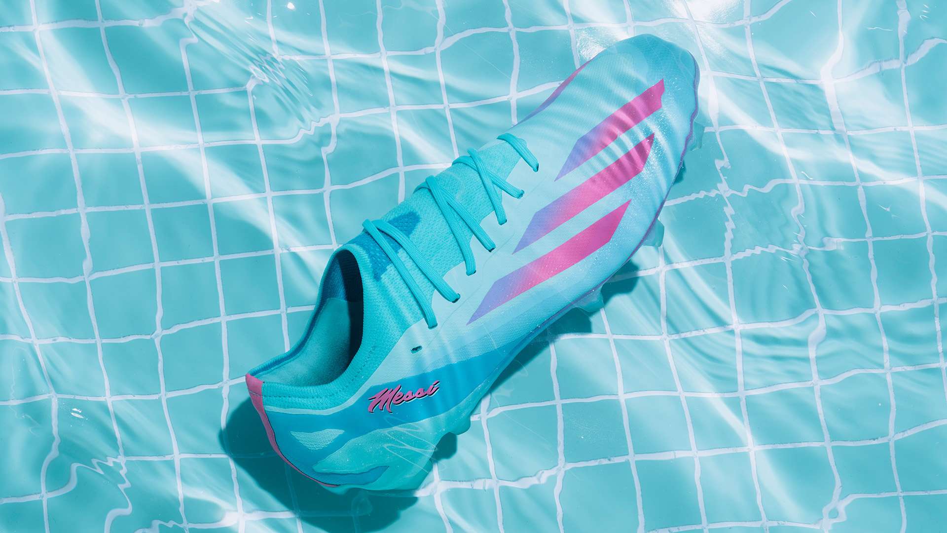 了解这项协 了解这项协