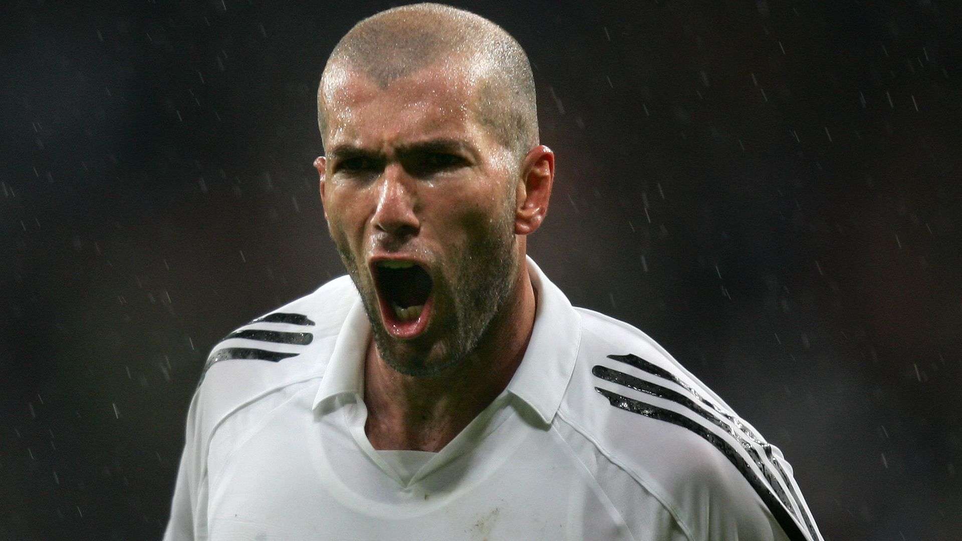 综合分析沙 综合分析沙